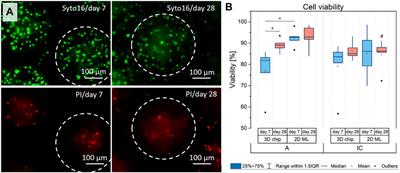 A matter of origin - identification of SEMA3A, BGLAP, SPP1 and PHEX as distinctive molecular features between bone site-specific human osteoblasts on transcription level